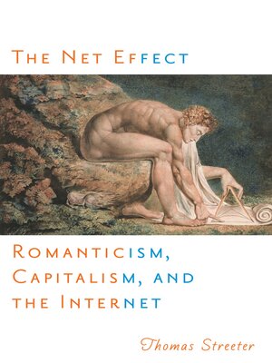 cover image of The Net Effect